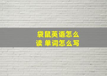 袋鼠英语怎么读 单词怎么写